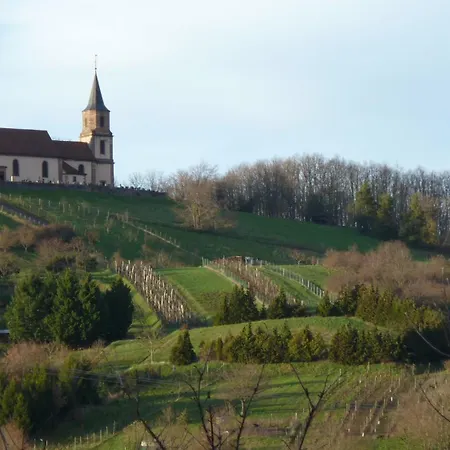 Lino - Base Ideale Pour Explorer L'alsace, Emplacement Privilegie Entre Vignes Et Vosges Thanvillé