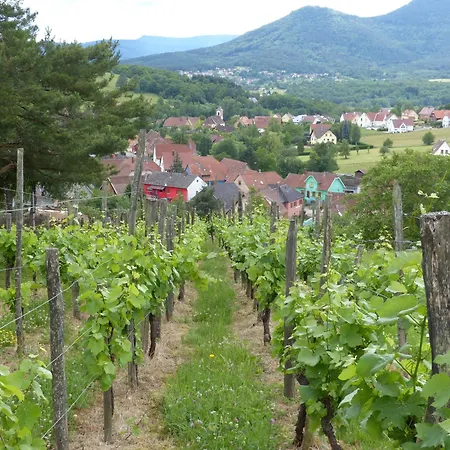 Lino - Base Idéale Pour Explorer L'alsace, Emplacement Privilégié Entre Vignes Et Vosges Apartamento *