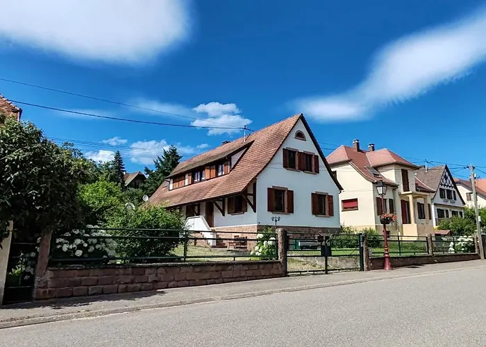 Lino - Base Ideale Pour Explorer L'alsace, Emplacement Privilegie Entre Vignes Et Vosges Thanvillé