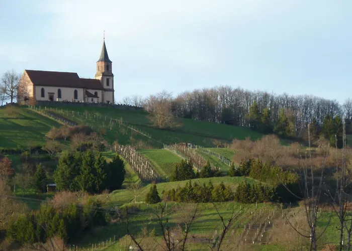 Lino - Base Ideale Pour Explorer L'alsace, Emplacement Privilegie Entre Vignes Et Vosges Thanvillé