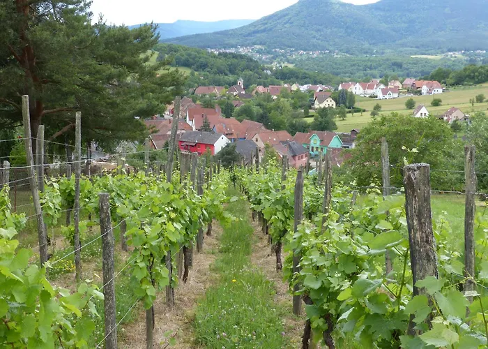 Lino - Base Ideale Pour Explorer L'alsace, Emplacement Privilegie Entre Vignes Et Vosges Apartman *