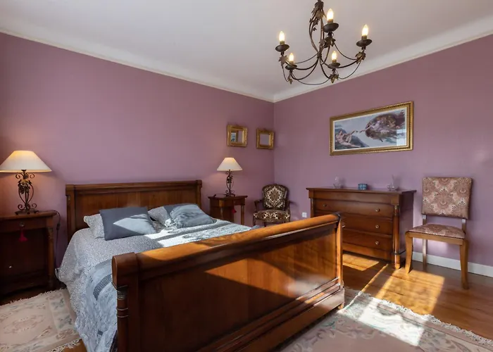 Lino - Base Ideale Pour Explorer L'alsace, Emplacement Privilegie Entre Vignes Et Vosges *